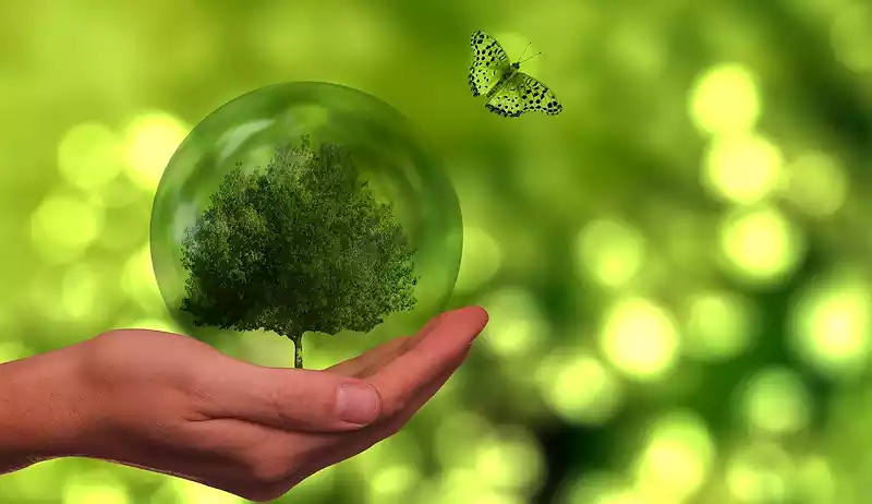 지구온난화 심각성 : 원인, 해결책, 그리고 우리가 할 수 있는 일 5 지구온난화_원인 해결책_우리가 할 수 있는 일_5작은실천